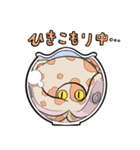 タコ猫スタンプ（個別スタンプ：9）