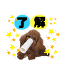 ライトくんのスタンプ★（個別スタンプ：15）