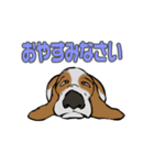 バセットハウンド(犬) 45（個別スタンプ：4）