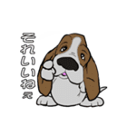 バセットハウンド(犬) 45（個別スタンプ：14）