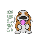 バセットハウンド(犬) 45（個別スタンプ：15）