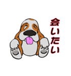 バセットハウンド(犬) 45（個別スタンプ：21）