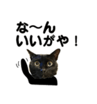 金沢弁の黒猫（個別スタンプ：1）