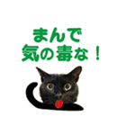 金沢弁の黒猫（個別スタンプ：5）