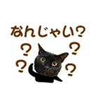 金沢弁の黒猫（個別スタンプ：10）