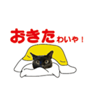 金沢弁の黒猫（個別スタンプ：11）