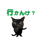 金沢弁の黒猫（個別スタンプ：12）