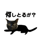 金沢弁の黒猫（個別スタンプ：14）