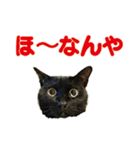 金沢弁の黒猫（個別スタンプ：19）