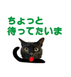 金沢弁の黒猫（個別スタンプ：25）