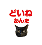 金沢弁の黒猫（個別スタンプ：26）