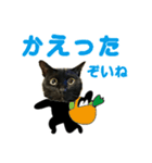 金沢弁の黒猫（個別スタンプ：31）