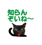 金沢弁の黒猫（個別スタンプ：32）