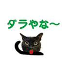 金沢弁の黒猫（個別スタンプ：36）