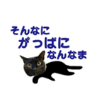 金沢弁の黒猫（個別スタンプ：39）