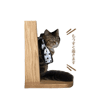 ふるやまめる②（個別スタンプ：2）
