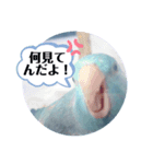 マメルリハのリル12（個別スタンプ：1）