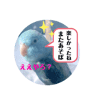 マメルリハのリル12（個別スタンプ：8）