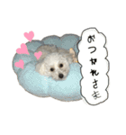 レチェといっしょ（個別スタンプ：10）