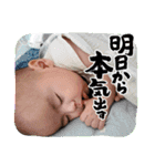 心晴と偉心仲良しスタンプ（個別スタンプ：14）