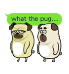 what the pug.（個別スタンプ：1）