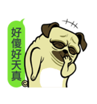 what the pug.（個別スタンプ：3）