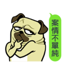 what the pug.（個別スタンプ：5）