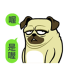 what the pug.（個別スタンプ：10）