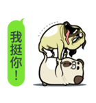 what the pug.（個別スタンプ：15）