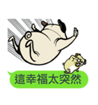 what the pug.（個別スタンプ：16）