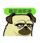 what the pug.（個別スタンプ：19）