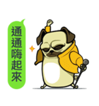 what the pug.（個別スタンプ：21）