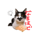 ぽことレオとクレア（個別スタンプ：12）