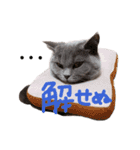 ぽことレオとクレア（個別スタンプ：19）