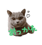 ぽことレオとクレア（個別スタンプ：23）