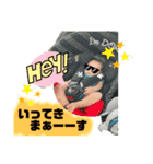 可愛いRaiくんスタンプ（個別スタンプ：3）