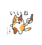 日常的ぷくぷく三毛ねこ（個別スタンプ：17）