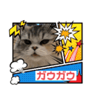 毛玉怪獣つなちゃんスタンプ3（個別スタンプ：1）