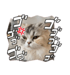 毛玉怪獣つなちゃんスタンプ3（個別スタンプ：3）