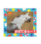 毛玉怪獣つなちゃんスタンプ3（個別スタンプ：5）
