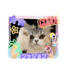毛玉怪獣つなちゃんスタンプ3（個別スタンプ：6）