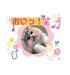 毛玉怪獣つなちゃんスタンプ3（個別スタンプ：7）
