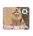 毛玉怪獣つなちゃんスタンプ3（個別スタンプ：9）