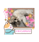 毛玉怪獣つなちゃんスタンプ3（個別スタンプ：10）
