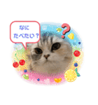 毛玉怪獣つなちゃんスタンプ3（個別スタンプ：11）