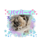 毛玉怪獣つなちゃんスタンプ3（個別スタンプ：14）