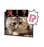 毛玉怪獣つなちゃんスタンプ3（個別スタンプ：16）
