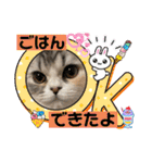 毛玉怪獣つなちゃんスタンプ3（個別スタンプ：17）
