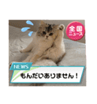 毛玉怪獣つなちゃんスタンプ3（個別スタンプ：20）