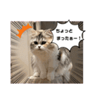 毛玉怪獣つなちゃんスタンプ3（個別スタンプ：22）